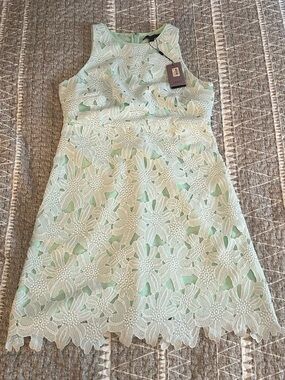 Sleeveless Lace Midi Dress in Mint Green